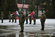 Slvnostn nstup pri prleitosti Da delostrelectva