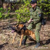 Vojenská polícia SR na Medzinárodnej vojenskej a policajnej K9 konferencie v Poľsku