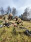 Kurz CLS1-Combat Lifesaver-Bojov zchranr