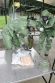 V Zemianskych Kostoľanoch sa pripravuje tím OPCW